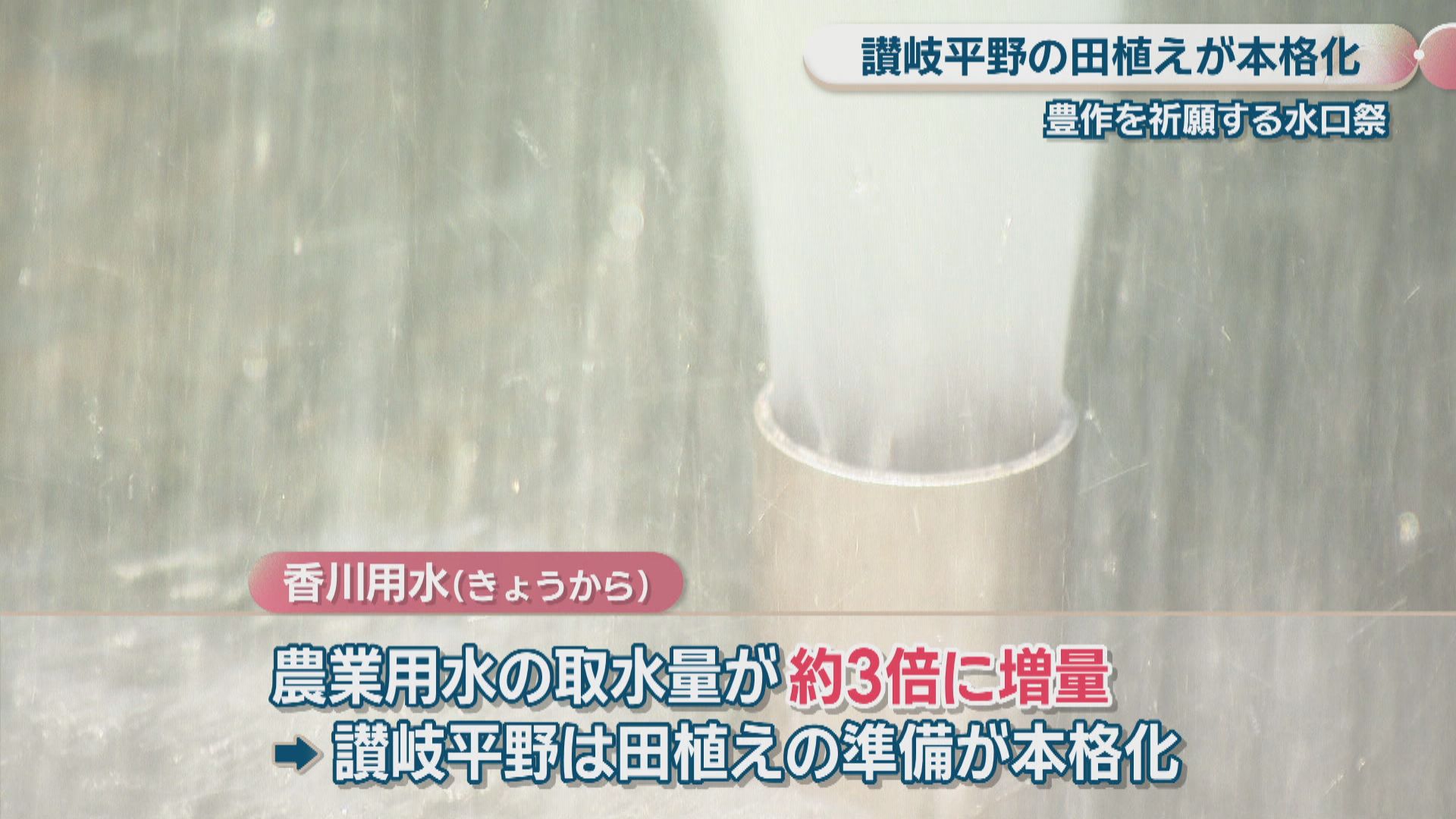 讃岐平野に田植えシーズン到来 香川用水で豊作を祈願する水口祭 香川