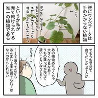 【漫画】『買った時がベストコンディション』4（もっこさん提供）