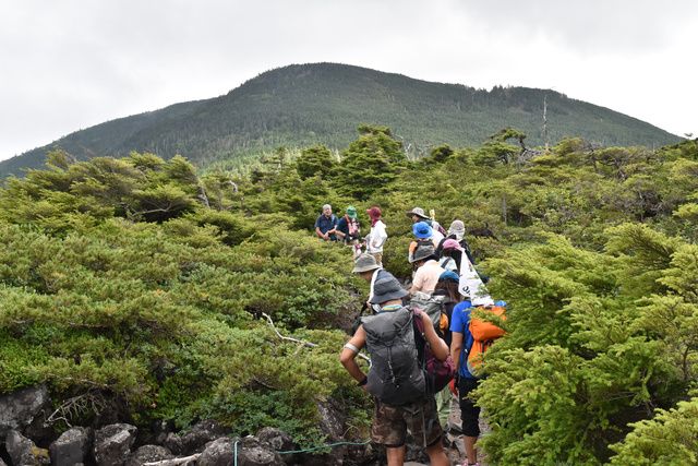 ひとり歩き2本 伊佐美2本　三岳２本 3年ぶり「山歩き会」 標高2480メートルの北横岳を満喫│朝日新聞Re