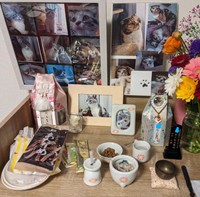 9歳2カ月で天国へ