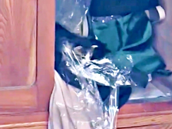 発見時、タンスの中で鳴いていた「ジャミラズ」（画像提供：みぃ～みぃ～ちゃんとジャミラズさん）