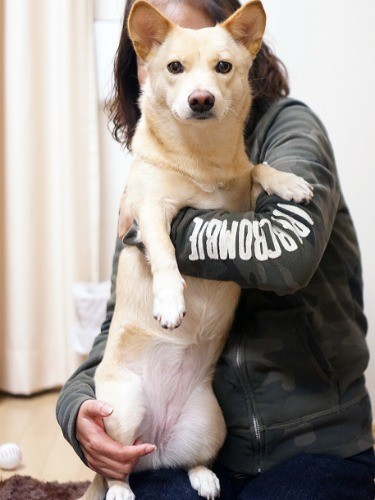 この半年で１.４㎏位増えました「成長分ね」