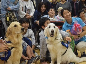 ファシリティードッグ「ベイリー」引退　２万人超の子ども励ます