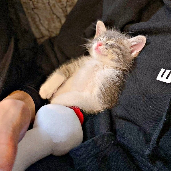 飼い主さんに抱かれて眠る小さなソラくん（画像提供：ガウンゼル・チョルサー＝まっちゃこさん）