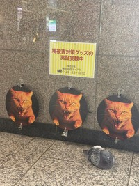 この実験、果たして効果のほどは…