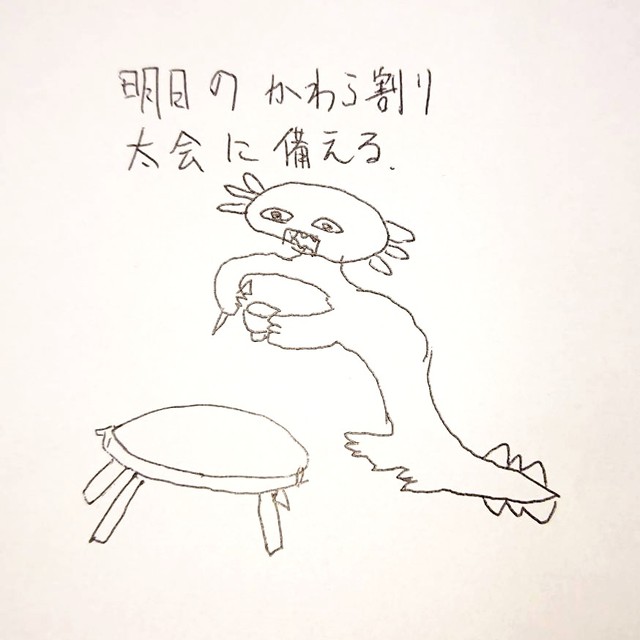 お父さんが描く！ 瓦割り大会に備えるウーパールーパー（画像提供：サブッパさん）