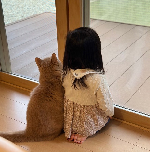 2年半前、仲良く横並びでお庭を見つめる猫ちゃんと娘さん（提供：Yuu☺︎さん）