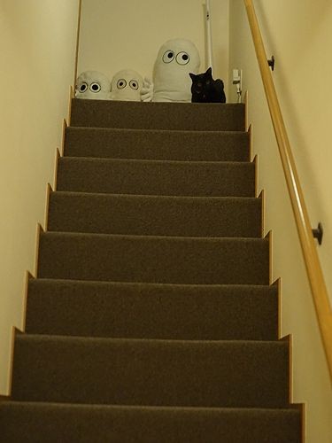 階段上から見送ってくれたモネ「私、
幸せだから安心してー」