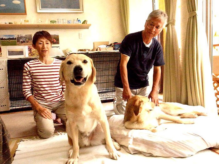 お父さん、お母さんと