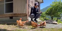 ニワトリはボロボロだった廃鶏を引き取り大切に育てています（写真提供：YouTubeチャンネル「小さな村で暮らす」さん）