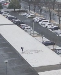 研究の息抜き！？雪が降る中、足でするすると生き物を描く東大院生（いずれも提供写真）