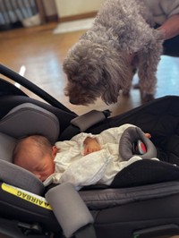 初対面…！（提供：@___zenworldさん）