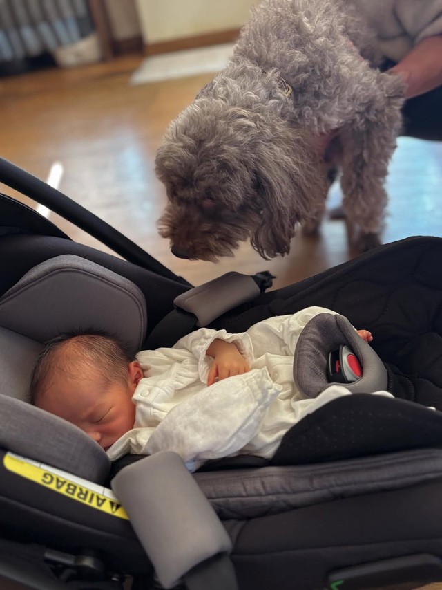 初対面…！（提供：@___zenworldさん）