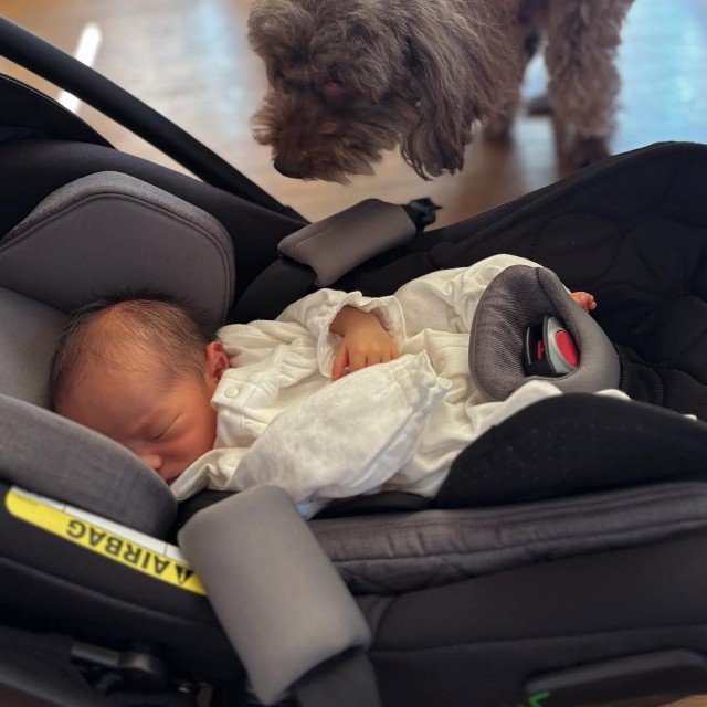 初対面…！（提供：@___zenworldさん）