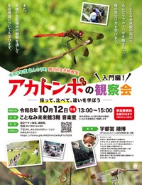秋の風物詩・アカトンボの観察会　参加者募集中