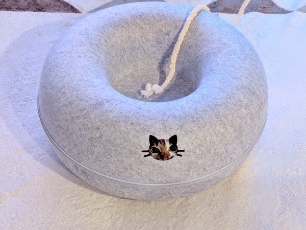 ドーナツ型ベッドでかくれんぼするつくねちゃん（画像提供：猫目さん）