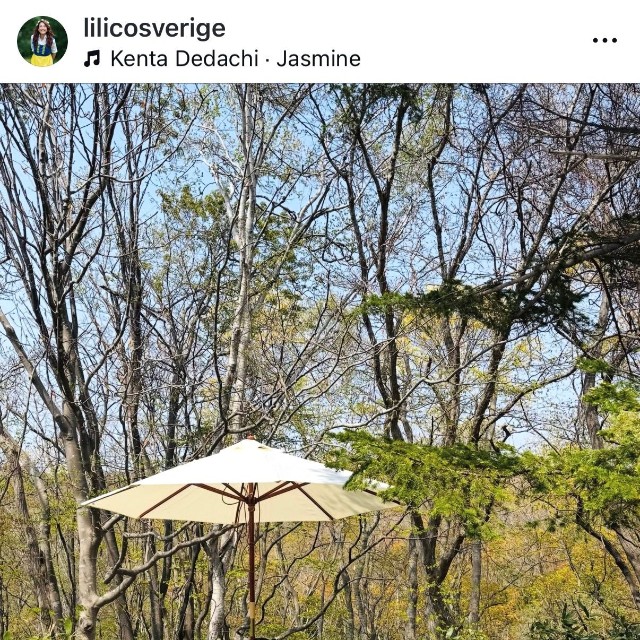 LiLiCo（@lilicosverige）さんのインスタグラムより
