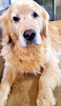 きょとん顔が愛らしいひらめくん（画像提供：ZAMUNDAさん）