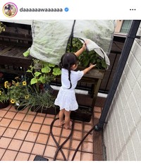 和田正人インスタグラム＠daaaaaawaaaaaaより