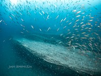 調査には高度な技術と特殊な装備が必要　撮影：清水淳