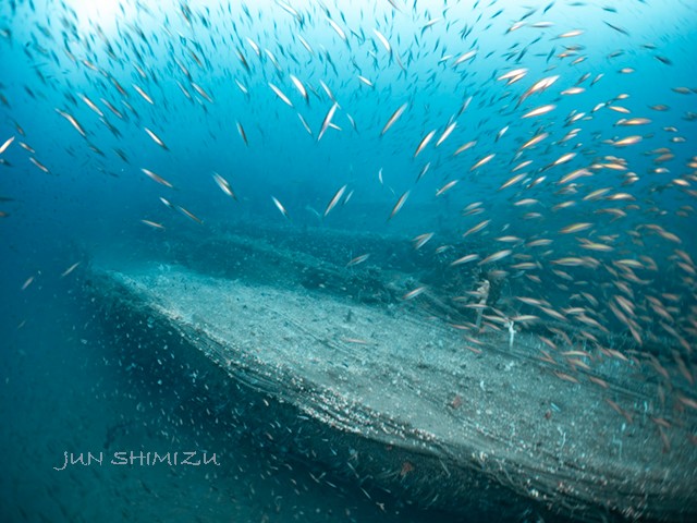 調査には高度な技術と特殊な装備が必要　撮影：清水淳