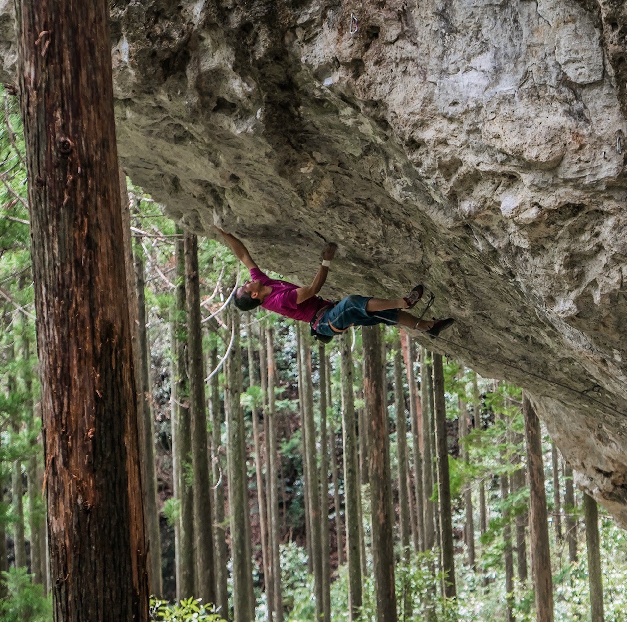 その道35年 40か国以上で0超の岩場を開拓したクライマーの情熱に迫る ほ とせなnews