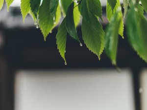 私だけ泣けなかったあの日。だから私はマネージャーを選んだ