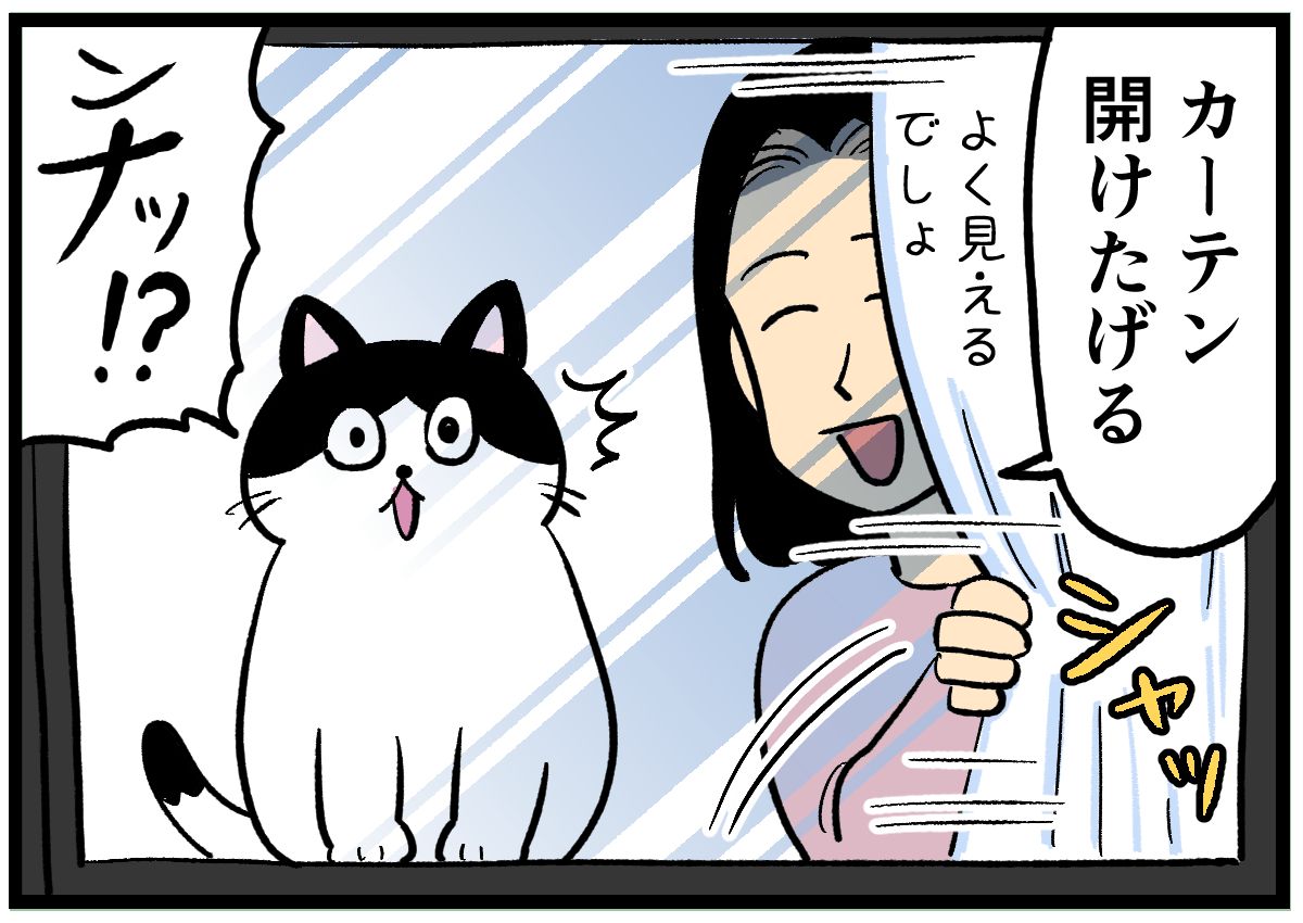 漫画】良かれと思ってやったのに…猫の謎行動に振り回されるニンゲン