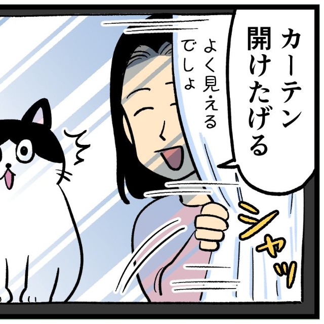 窓の外の景色を見せてあげたくて…