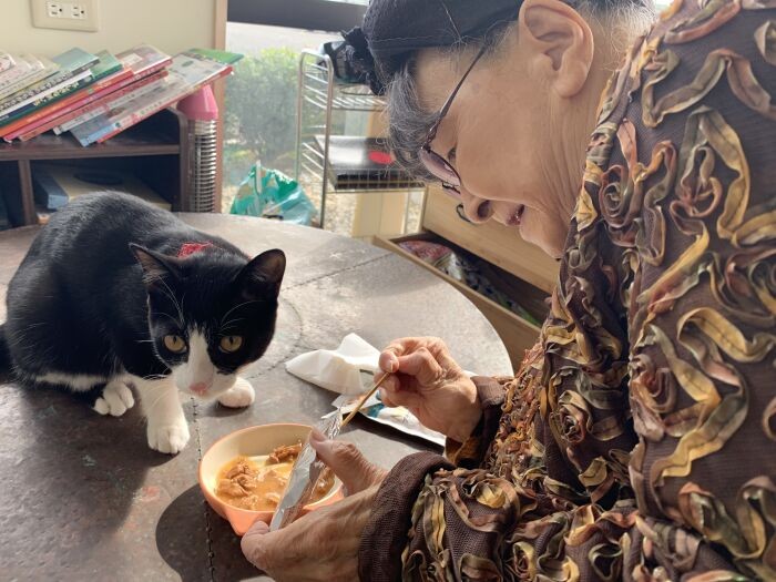 猫好きの女性からおやつをもらう風太くん