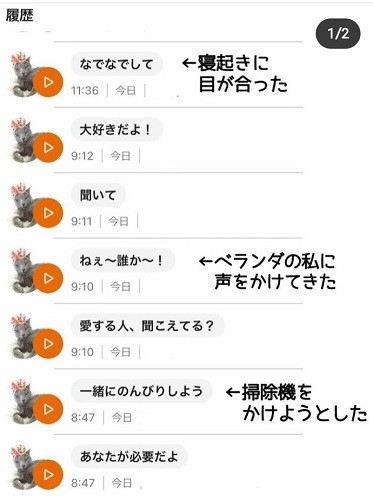 インスタにも紹介されていたこっちゃんのにゃんトーク履歴。右の太文字のところ、ぴったりです（Ｍさん提供）
