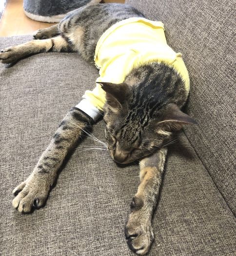 ソファでリラックス