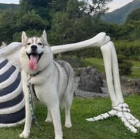 満点の笑顔で巨大な骸骨とツーショット！（提供：𝘴𝘢𝘮さん）※一部トリミング
