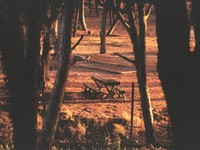 通知がゼロになったとき、私は存在をやめてしまうのだろうか