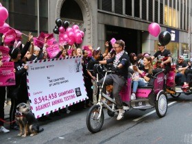 ２３年までに化粧品の動物実験を全世界で禁止　ＥＵ呼びかけへ