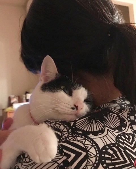 いまではすっかり甘えん坊のもんちゃん