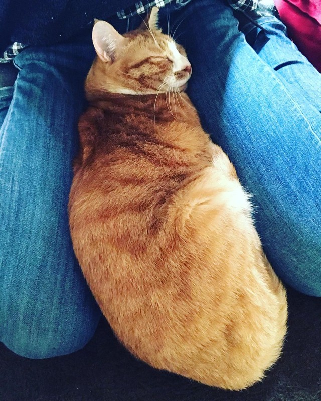 寒くなったから温かくしないとね