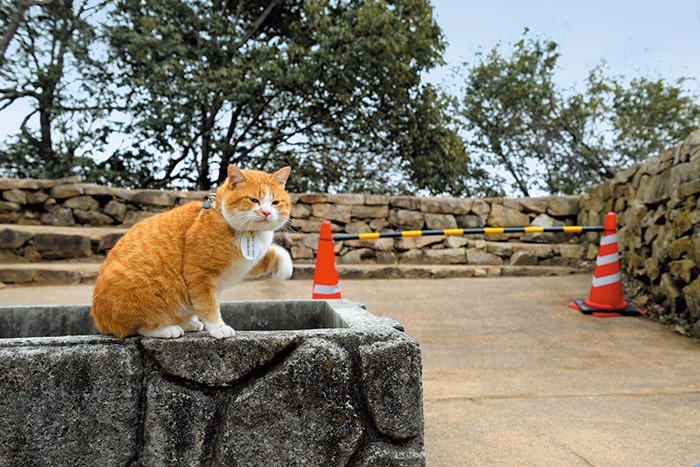 「おっと。ここから先は立ち入り禁止だ」と制止（!?）する城主。豪雨の爪痕は今
も一部に残る 
