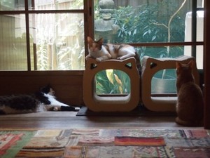 上田啓太さん「人は2000連休を与えられるとどうなるのか？」インタビュー　いつでもビール飲めるぜ、からの　