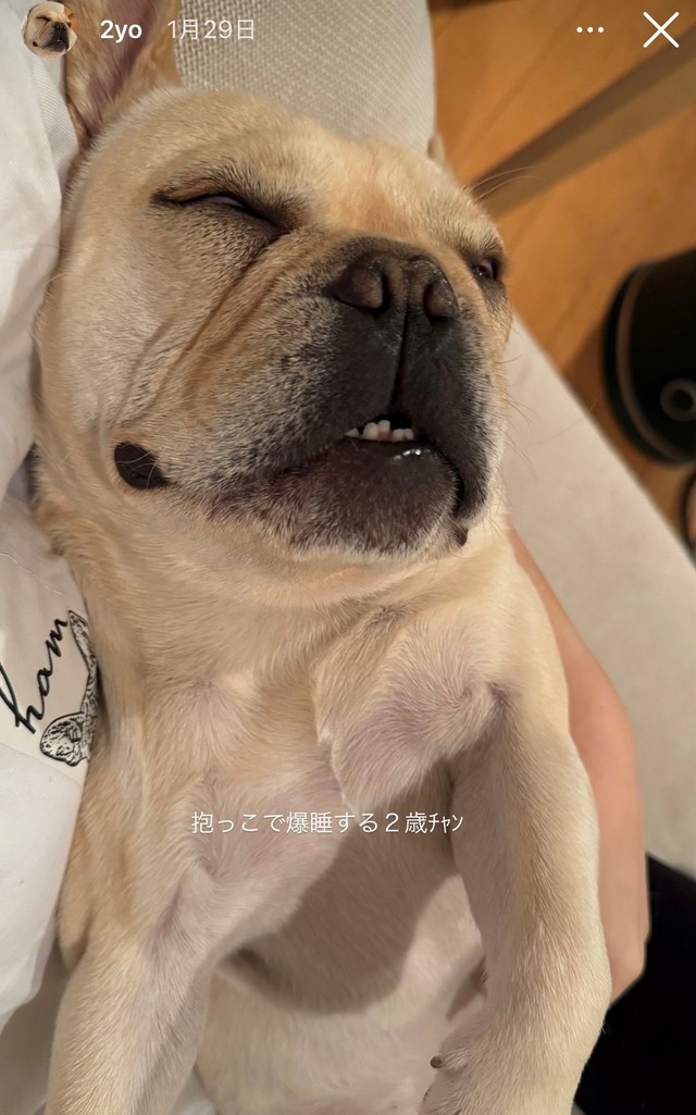 赤ちゃんのように抱っこで寝かしつけられる