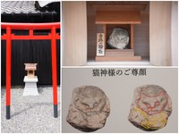 ミュージアム中庭の社に祀られている「奇跡の猫石」。天然の石ながら、結跏趺坐（けっかふざ、両足を組む座り方）で招く猫の姿が！