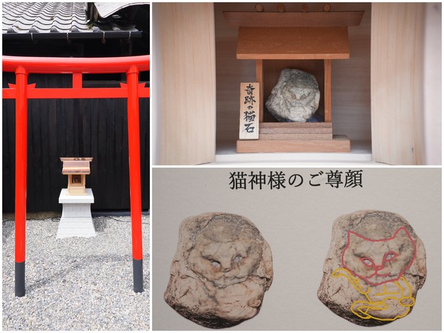 ミュージアム中庭の社に祀られている「奇跡の猫石」。天然の石ながら、結跏趺坐（けっかふざ、両足を組む座り方）で招く猫の姿が！