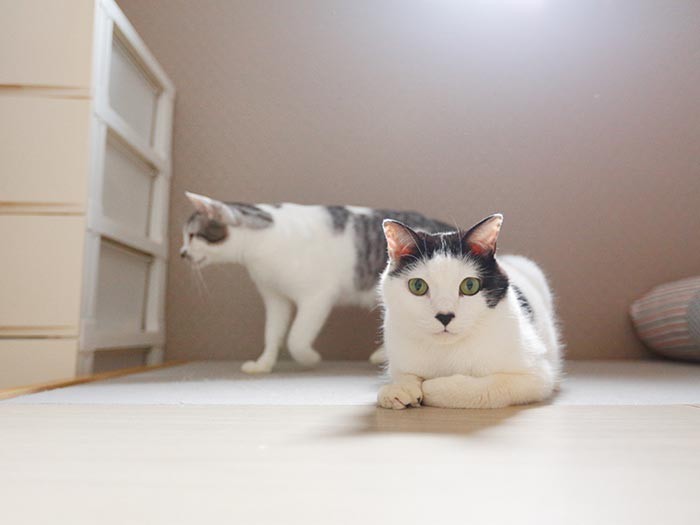 包み込むような優しさを持つ、陽。