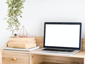 あれだけ苦労して泣いたのに、25歳になる私は転職サイトを眺めてる