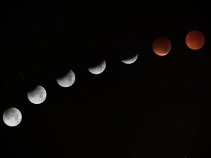 PMDDに苦しんでいた私を救ってくれたのは、月経カップだった