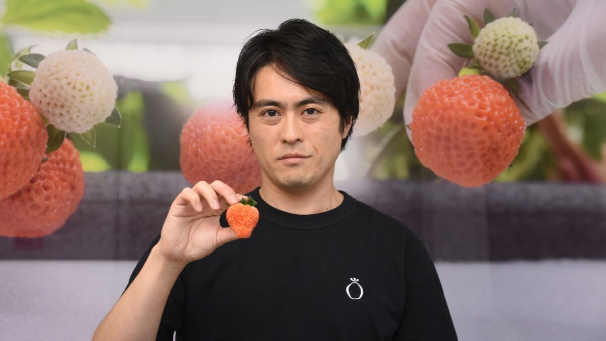 植物工場でつくる「日本のイチゴ」 アメリカから世界へ 古賀大貴さんが