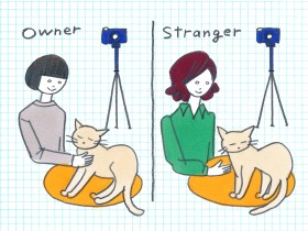 うっとりなでられてたネコなぜ急に怒る？　飼い主に見せる反応とイヤがる部位がある