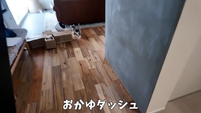 ぬいぐるみをくわえながら目にもとまらぬ速さでダッシュします（提供：おかゆ生活さん）