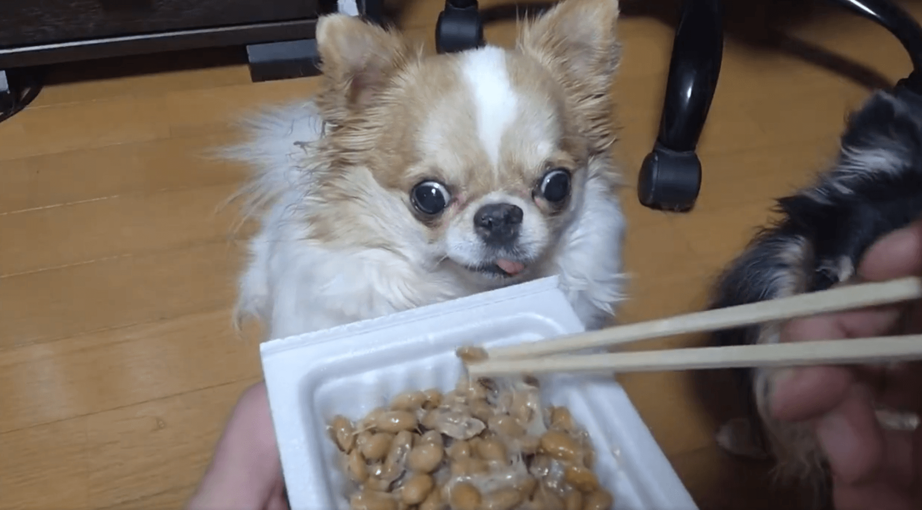 この時はまだ冷静さが残っているように見える
