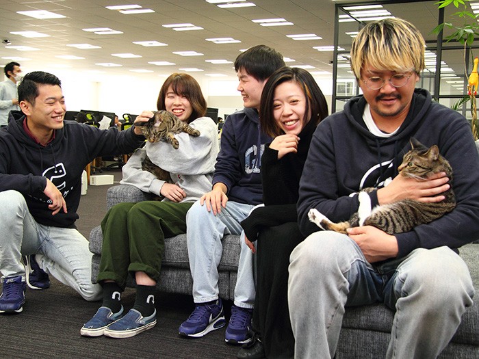スタッフ間には、会話がなくても意思疎通が図れる不思議なネコミュニケーションがあるんだとか！